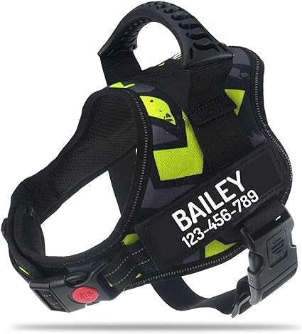 PawPawify Arnés personalizable