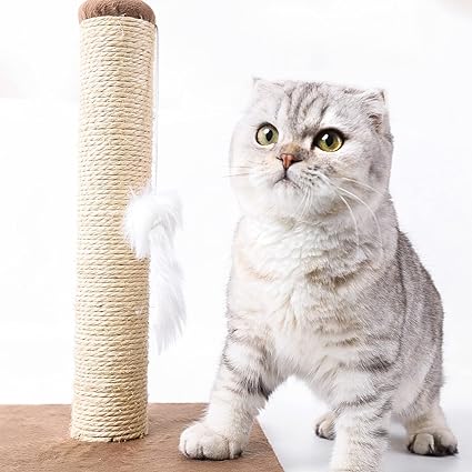 Nobleza Poste rascador sisal