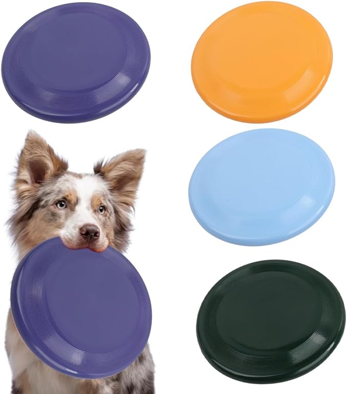 FRISBEE PARA PERROS