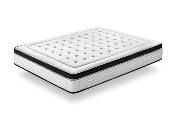 KUO Dream Bio Memory