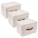 TYEERS - Juego de 3 cajas de almacenaje con tapa
