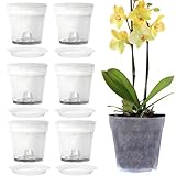 6 macetas transparentes para orquídeas, con agujeros y platillos para interiores y exteriores.