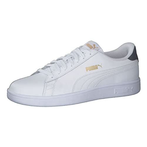 Zapatillas Puma Smash V2 L