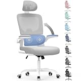 naspaluro Silla Oficina,Silla Escritorio Ergonómica con Soporte Lumbar Dinámico