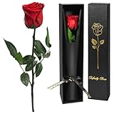 Yamonic Rosa Eterna San Valentin. Rosa Preservada, Natural Preservada. Regalo San Valentín