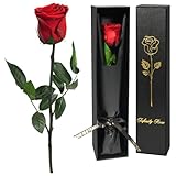Yamonic Rosa Eterna San Valentin Regalos Mujer, Rosa Preservada con Tallo Regalo