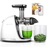 AMZCHEF Licuadora verduras y frutas - con función inversa - Cold press slow juicer machine 3 en 1