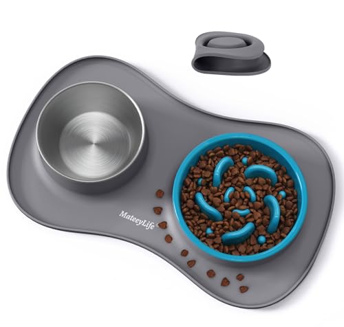 MateeyLife Juego de Boles para Perro 3 en 1