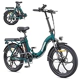 HillMiles MilePort 1 Bici Eléctrica para Adultos, 250W Bicicleta Eléctrica Plegable con 36V 13AH