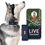 PAJ Localizador GPS Perros 4G Alarmas Fuga Seguimiento Tiempo Real