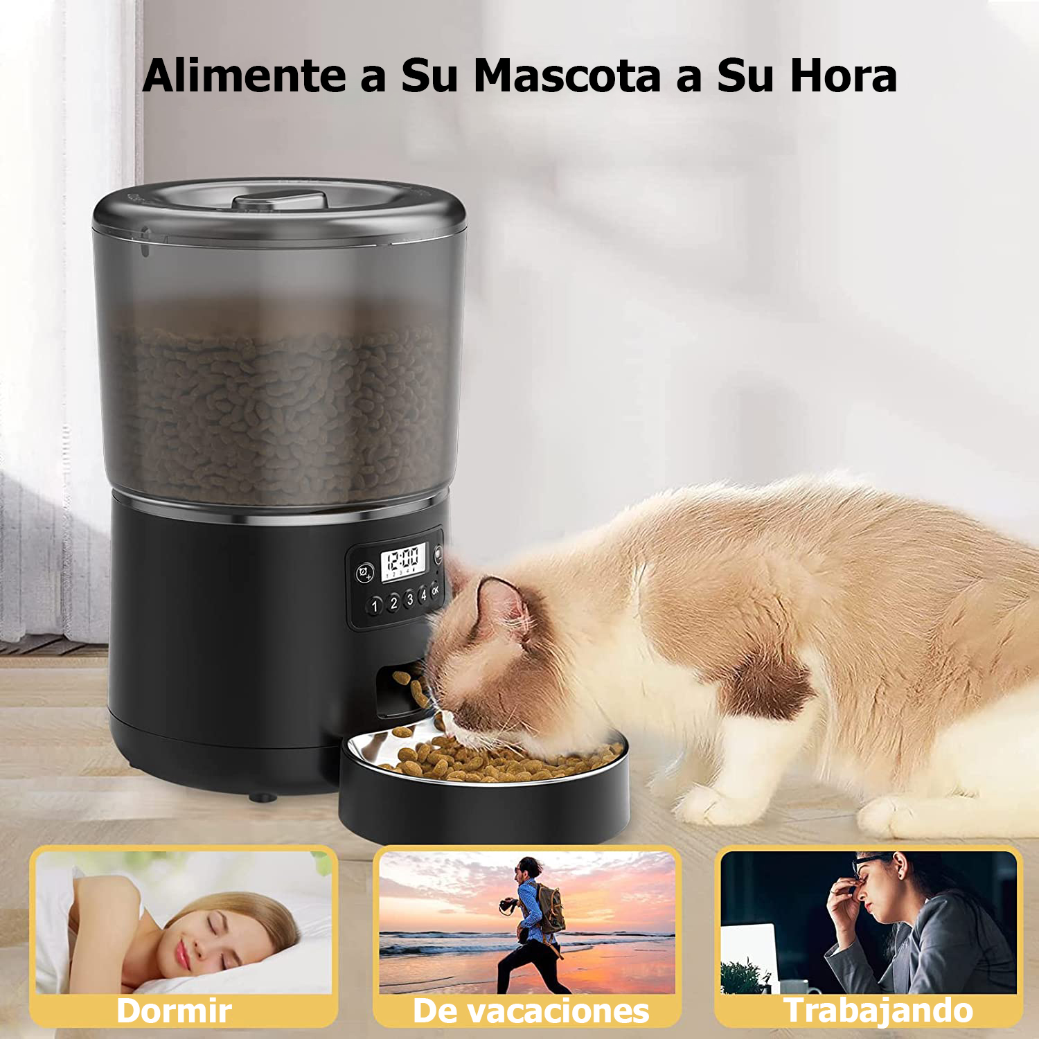 Comedero automático para mascotas de 4L