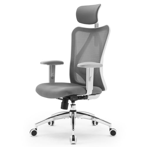 SIHOO Silla de Oficina ergonómica M18, Silla de Escritorio con reposacabezas Ajustable