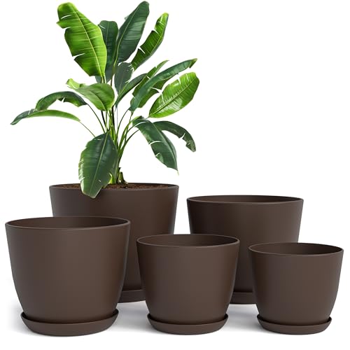 Utopia Home - Pack de 5 macetas