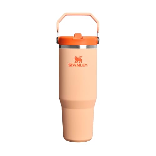 STANLEY Flip Straw Tumbler 1.0 Botella Agua con Pajita 0.89L - Conserva el Frío 12 Horas
