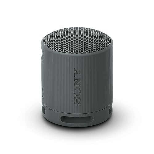Sony Altavoz Bluetooth SRS-XB100, Ligero, Compacto, Altavoz Resistente al Agua y al Polvo IP67