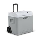 IGLOO IE42 Nevera Eléctrica, 12V y 230V, 42L – Mini Frigorífico Compacto