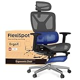 FLEXISPOT ErgoX Silla Ergonómica