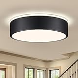 Lampara Techo,Plafon LED Techo Negra,30cm Plafón LED Techo Metal para Dormitorio,Sala de