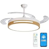 LEDUNI Ventilador con Luz LED con mando+APP 50CM, Motor DC +Luz LED, 66W,temporizador, 6 velocidades