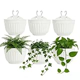 ORIMERC 6 macetas de 25 cm, Flores de Pared Verticales para Colgar para jardín