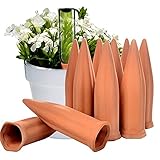 Regadera de cerámica para plantas de terracota con picos de riego automático