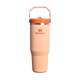 Stanley 1913 Flip Straw Botella Agua con Pajita 0.89L - Orange Sherbet