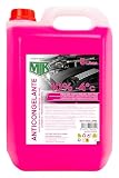 Motorkit anticongelante refrigerante rosa 5 L